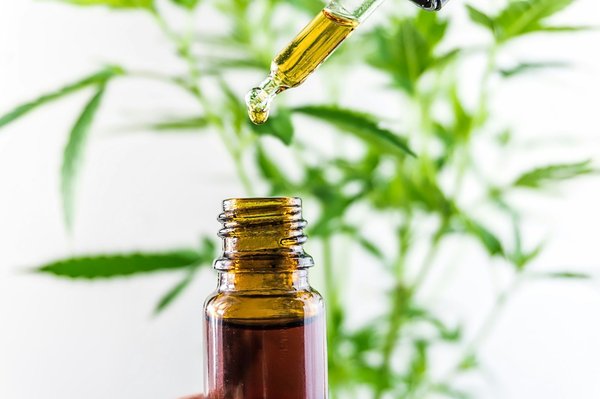 Huile de chanvre : découvrir les différences entre 10 % et 40 %